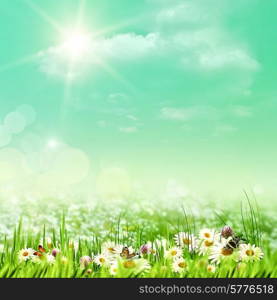 Shiny summer day on the meadow, natural backgrounds