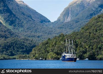 Ship in harbour at Doubtful Sound