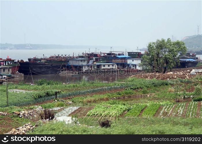 Ships and gardens on tha bank of yangtze river, China