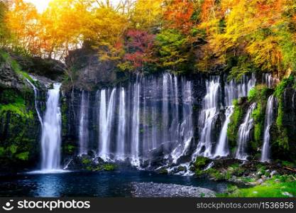 Shiraito waterfall in Japan.