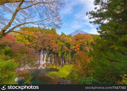 Shiraito waterfall. Maple leaves or fall foliage in autumn season near Fujikawaguchiko, Yamanashi. Colorful trees in Japan with blue sky. Nature landscape background.