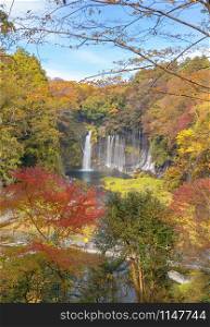 Shiraito waterfall. Maple leaves or fall foliage in autumn season near Fujikawaguchiko, Yamanashi. Colorful trees in Japan with blue sky. Nature landscape background.