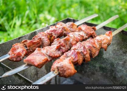 Shish kebab on metal skewers outdoor picnic