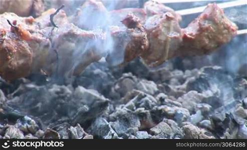 shish kebab (shashlik) grill over coals