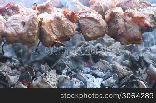 shish kebab (shashlik) grill over coals