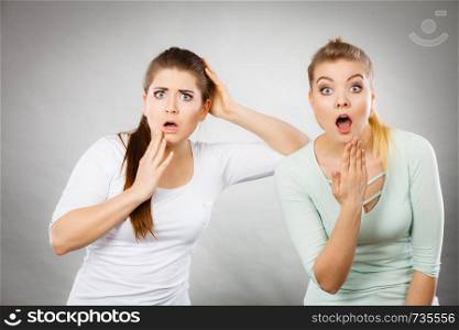 Shock face expressions concept. Closeup of two shocked and amazed women seeing something weird.. Two shocked and amazed women