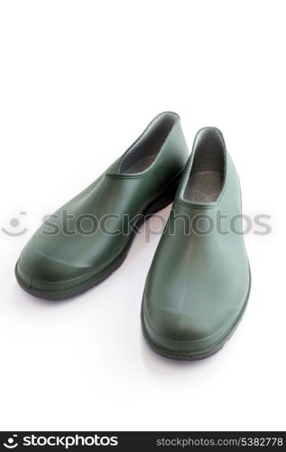 Shoe version of wellingtons