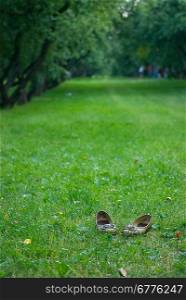 Shoes left in grass