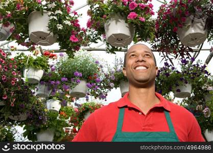 Shop assistant at a garden centre