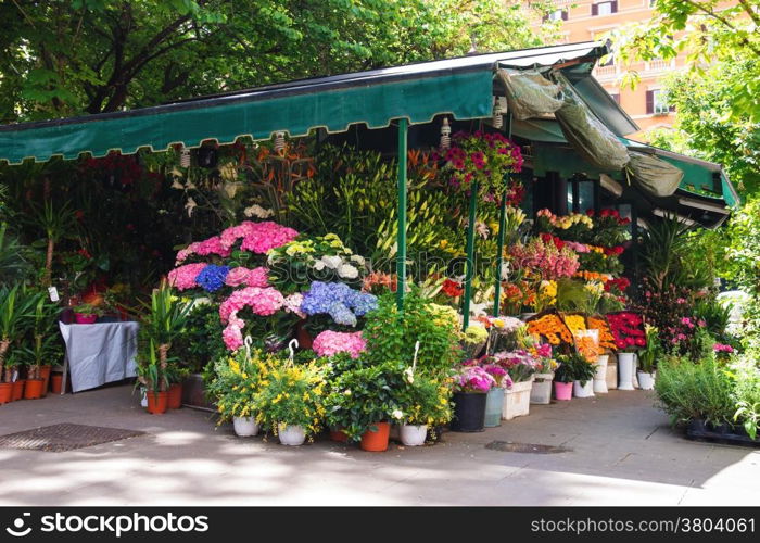 Shop on sale of flowers in the Italian city