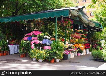 Shop on sale of flowers in the Italian city