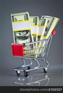 shopping cart and money on a grey background