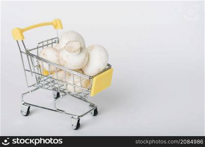 shopping cart full mushrooms white background