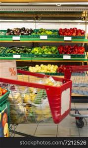 Shopping cart in supermarket in front of shelf with vegetables. Shopping concept.