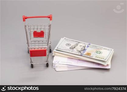 Shopping cart with money (dollar, euro) isolated on gray background