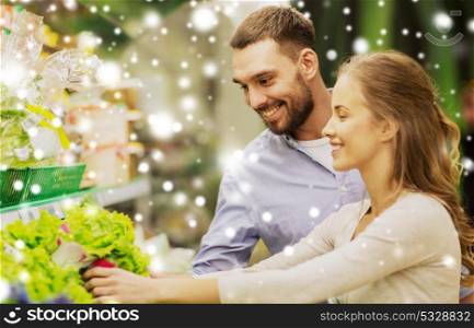 shopping, food, sale, consumerism and people concept - happy couple buying lettuce at grocery store or supermarket over snow. happy couple buying lettuce at grocery store