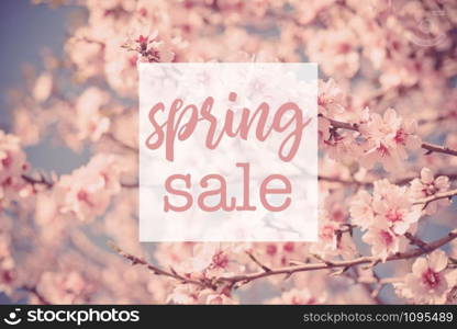 Shopping Spring Sale Text on Pink Flowers Blooming Peach Tree