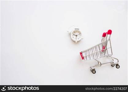 shopping trolley with little snooze. Resolution and high quality beautiful photo. shopping trolley with little snooze. High quality beautiful photo concept