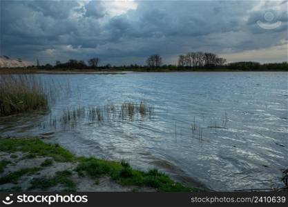 Shore of a lake with reeds and cloudy sky, Stankow, Lubelskie, Poland