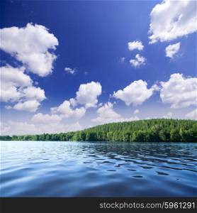 Shore of forest lake under blue sky