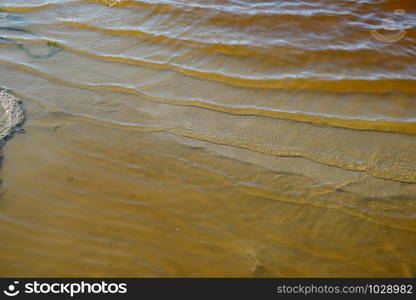 shore of the iodized healing lake with brown water in the middle of the steppe. Kherson region Ukraine, day