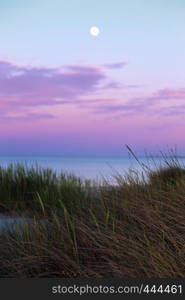 shore of the northern sea at sunset. Denmark