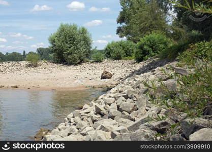 Shore of the Rhine (Rhein) at Gernsheim, Hessen, Germany