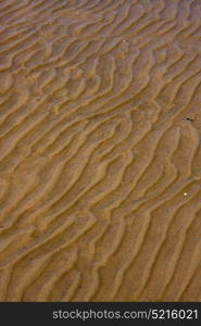 shore texture and curved line in rio de la plata colonia del sacramento uruguay