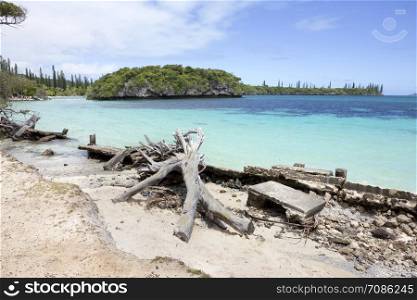 Shoreline, Kuto. Iles des Pins (Isle of Pines)