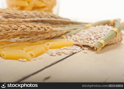 short Italian pasta penne with durum wheat grains