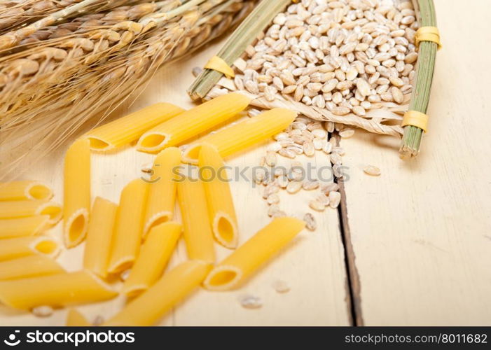 short Italian pasta penne with durum wheat grains