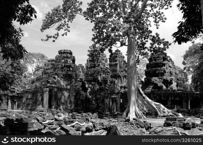 Shot at a temple in Angkor, Cambodia. Angkor temple ruins