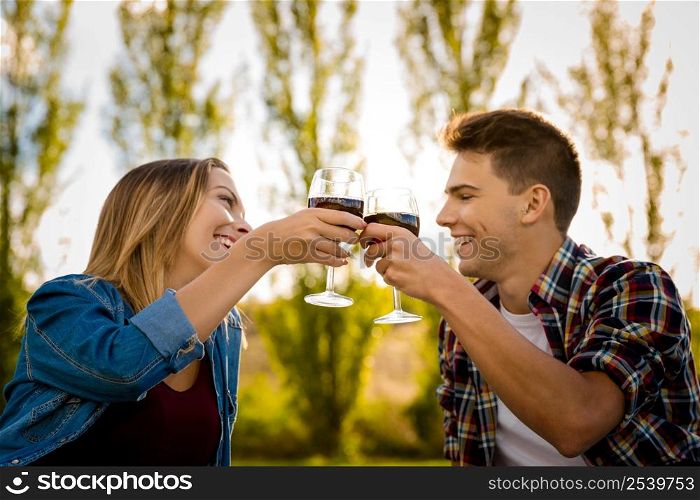 Shot of a beautiful couple on a picnic and making a toast