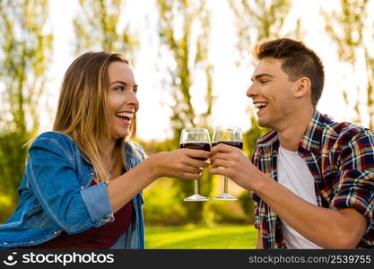 Shot of a beautiful couple on a picnic and making a toast