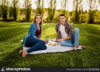 Shot of a beautiful couple on the park making a picnic