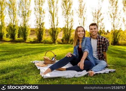 Shot of a beautiful couple on the park making a picnic and having fun