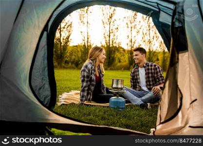Shot of a happy couple camping on the nature and cooking