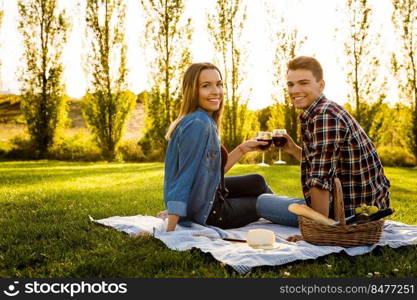 Shot of a happy couple enjoying a day in the park and making a toast