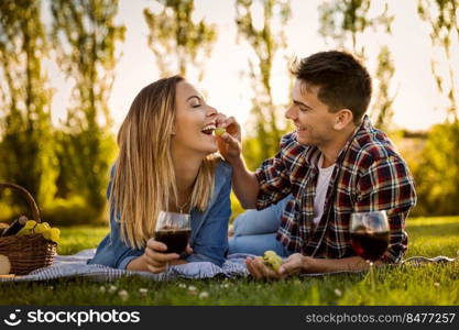 Shot of a happy couple enjoying a day in the park making a picnic