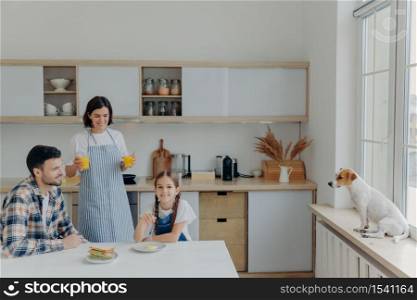 Shot of happy mother, daughter and father pose together at kitchen, drink fresh juice and eat burgers, have delicious breakfast prepared by mom, their favorite domestic pet poses on window sill