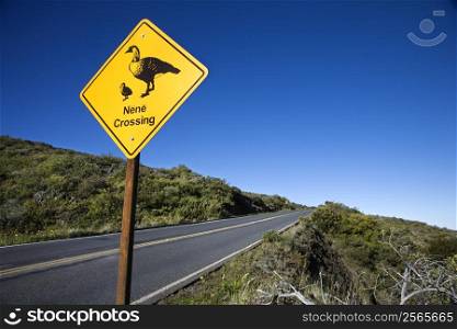 Shot of oNene Crossingo road sign in Haleakala National Park, Maui, Hawaii.