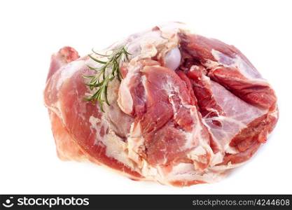 shoulder of lamb in front of white background