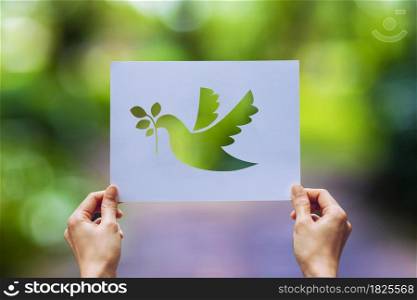 Show Cut paper with the logo of pigeon template of peace concept,International Peace Day