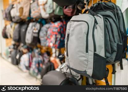 Showcase with backpacks in sports shop, nobody. Summer active leisure, showcase with bags, professional travelling equipment