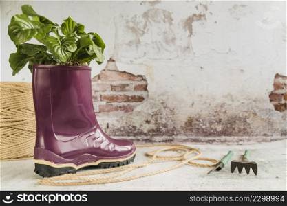 showplant purple wellington rubber boot with rope gardening tools against old wall