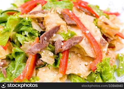 shredded roasted meat with cookie pieces, paprika and lettuce, shallow DOF