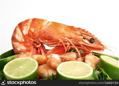 shrimp background macro close up