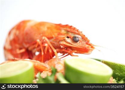 shrimp background macro close up