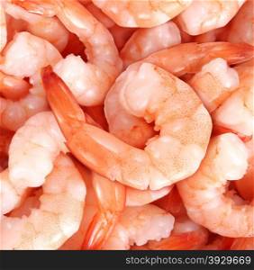 Shrimp cocktail background with a close up view of a group of fresh delcious refrigerated crustaceans as gourmet seafood for a party or dinner at a restaurant serving food from the sea.