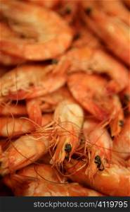 Shrimp macro texture, many orange prawns